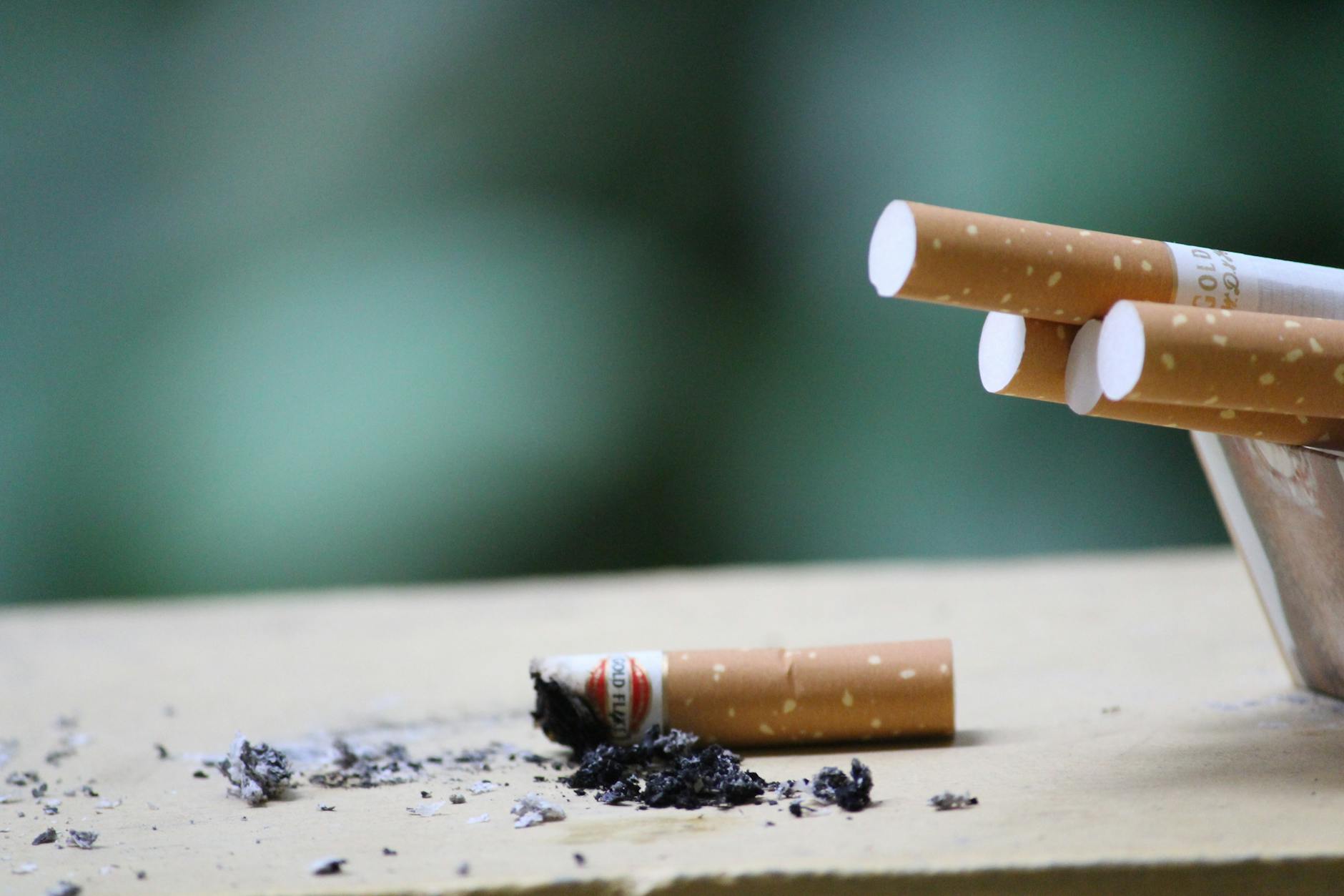 close up photo of cigarette ashes